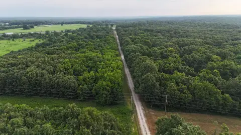 Wooded Recreational Land Parcel