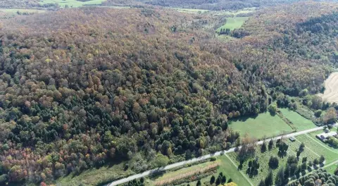 130 Acres Recreational Land in Otsego
