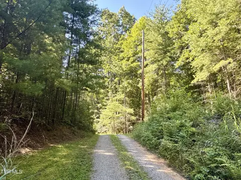 Mountain Recreation Land with Creek