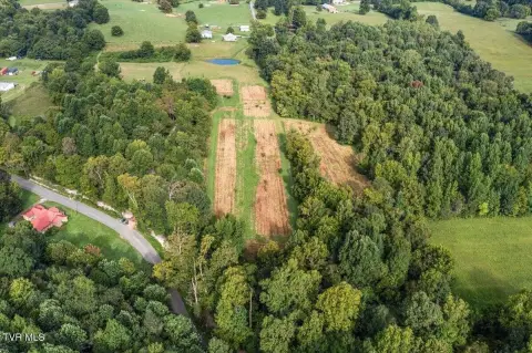 Pastureland with Tree Line