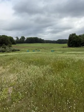 Recreational Hunting Land Parcel