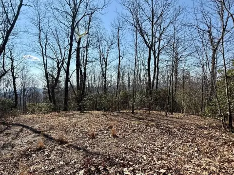 Sapphire NC Homesite with Views