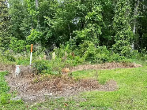 Burton, SC Wooded Land