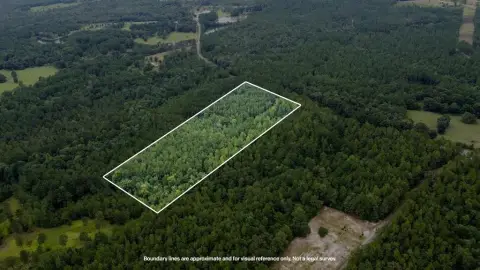 Wooded Land with Road Frontage