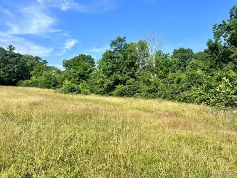 Hunting Land with Food Plot