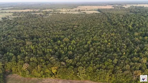 Timbered Hunting Land