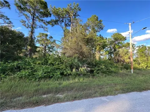 Residential Lot in Lehigh Acres