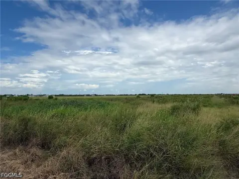 Cleared Agricultural Land