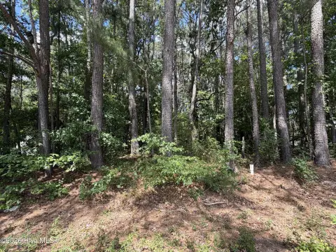 Residential Lot in Mimosa Park