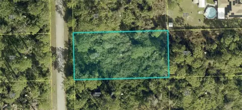 Land Parcel in Alva, Florida