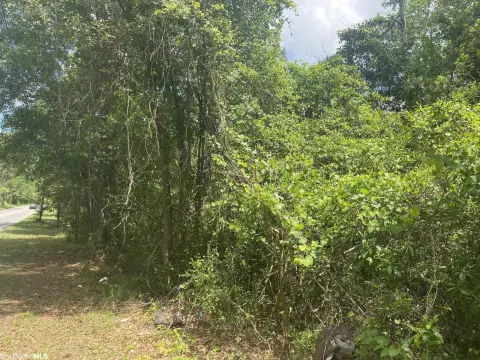 Residential Lots with Pond