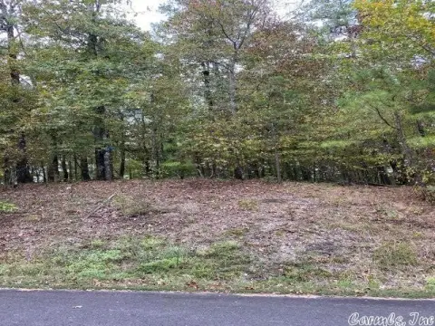 Golf Course Lot in Diamante