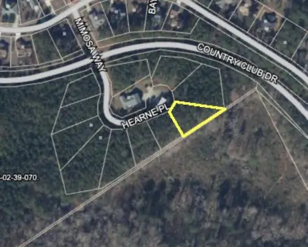 Residential Lot in Savannah Lakes