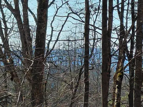 Mountain Land Near Downtown Franklin