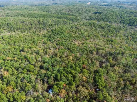 12-Acre Hunting Land
