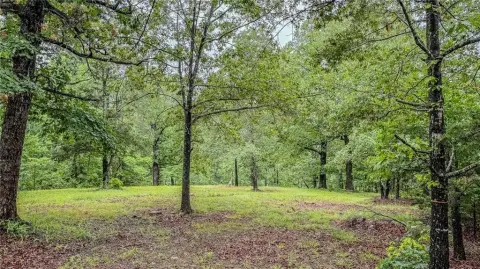 9.95 Acres Wooded Retreat