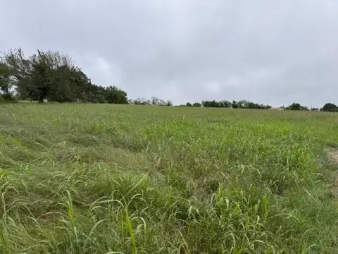 33 Acres Near Lincoln, AR