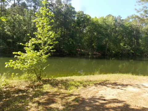 Waterfront Land in Lincolnton, GA