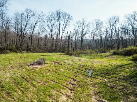 Wooded Acreage in Holmes County