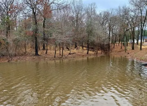 Waterfront Lot on Lake Fork