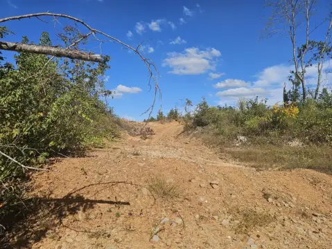 Sulligent Hunting and Recreational Property