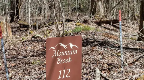 Burnsville Land with Creek Frontage
