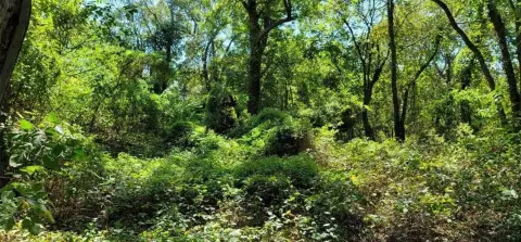 Residential Land in Waxahachie, TX