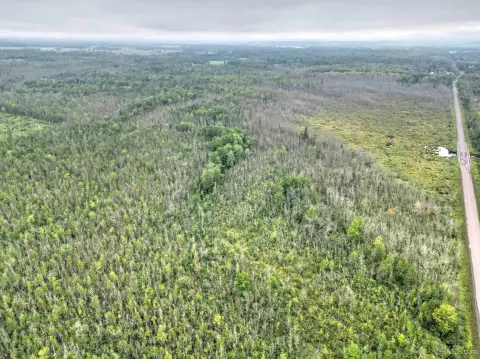 Woodland and Wetland Hunting Land