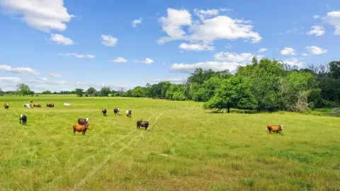 Ranch Land with Equestrian Facilities