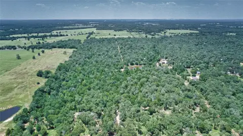 Unrestricted Wooded Land Parcel