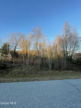 Residential Land in Gloversville, NY