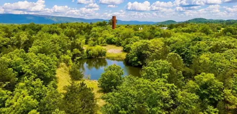 Wooded Recreational Land