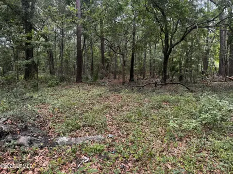 Wooded Residential Land Parcel