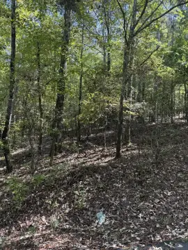 Land Near Lake Thurmond