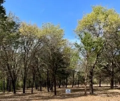 Nocona Land with Native Trees