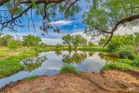 Robert Lee Ranch Land For Lease
