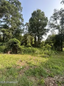 Brookhaven, MS Land Parcel