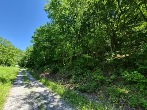 Wooded Hunting Land with Creek