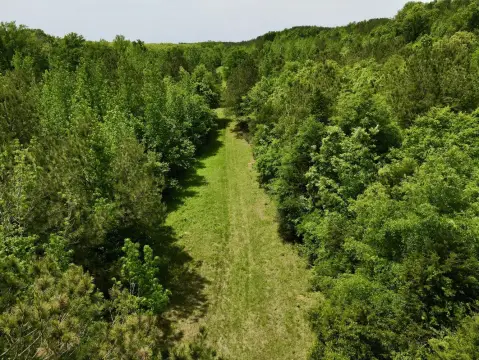 240 Acres Hunting and Timber
