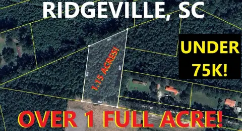 Ridgeville Buildable Land Available