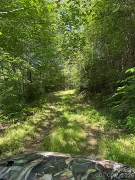 Land with Creeks and Fields