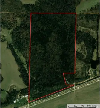 67.4 Acres Hunting/Homesite Land