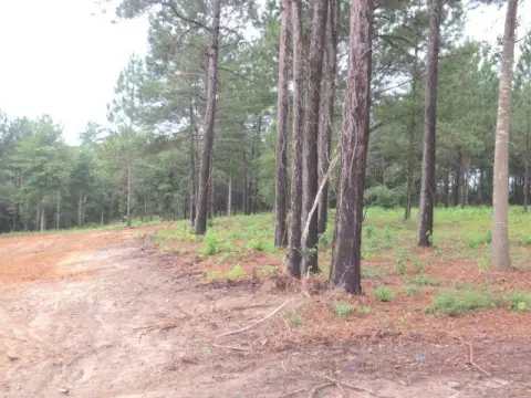 Residential Land in Ellisville, MS