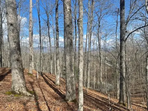 Ridgetop Lot with Smoky Mountain Views