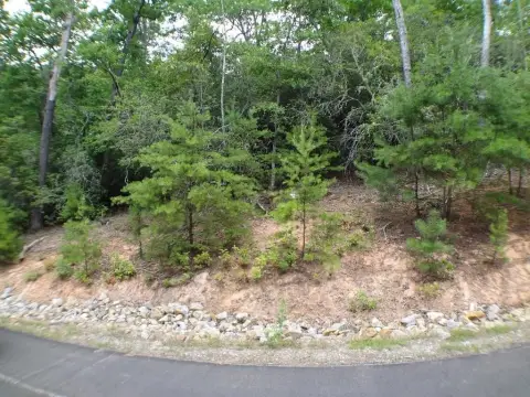 Residential Wooded Lot in Franklin
