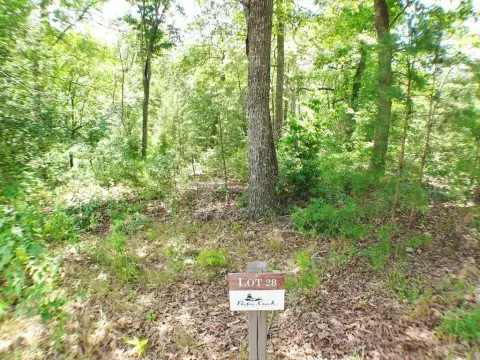 Wooded Lot in Gated Community