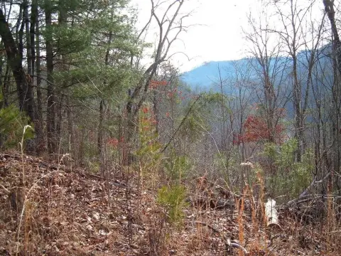 Land with Lake Access