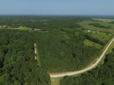 Wooded Recreational Land Tract