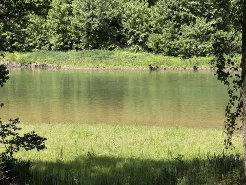 Waterfront Wooded Land Parcel
