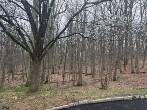 Residential Land in Mount Olive